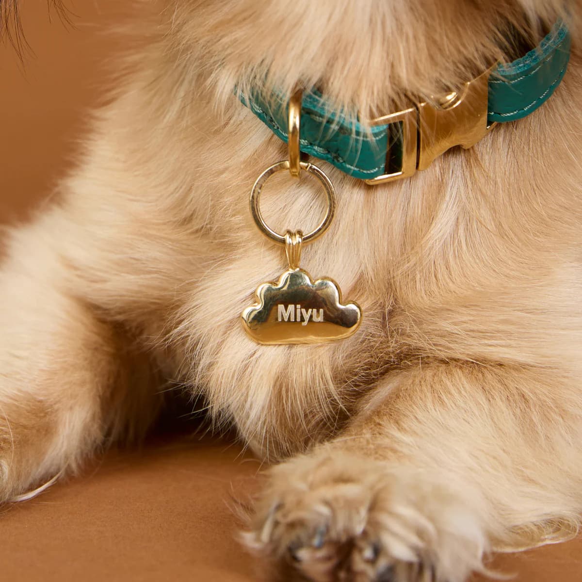 Personalised Gold Paw-Shaped Pet Tags Kenya